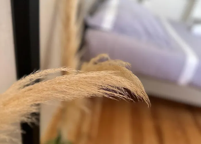 Rum i privatbostad Les Ded-chambre D Cosy Lafrançaise