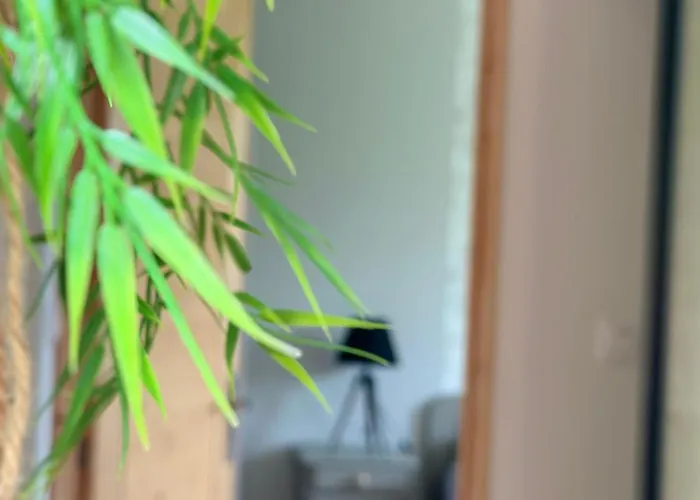 Les Ded-chambre D Cosy * Lafrançaise