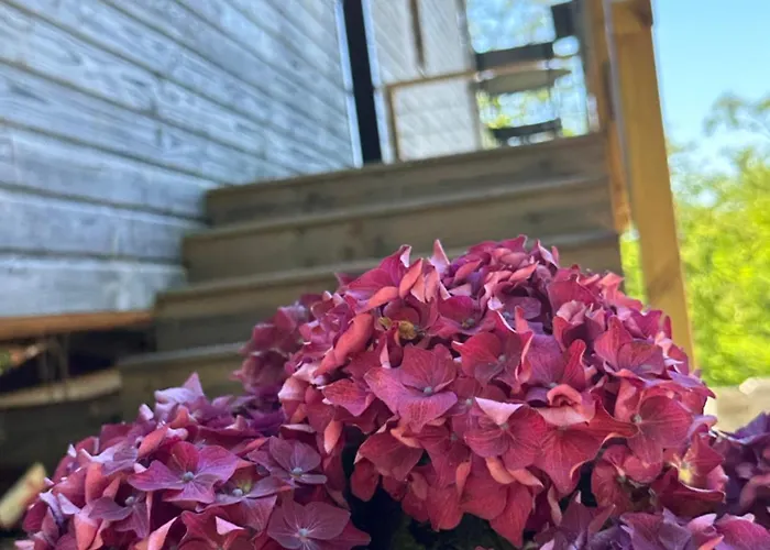 Les Ded-chambre D Cosy Rum i privatbostad