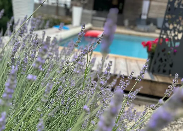 Les Ded-chambre D Cosy * Lafrançaise