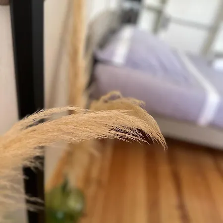 홈스테이 Les Ded-chambre D Cosy Lafrançaise