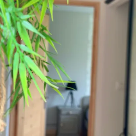 Les Ded-chambre D Cosy * Lafrançaise