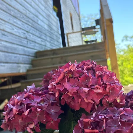 Les Ded-chambre D Cosy 홈스테이